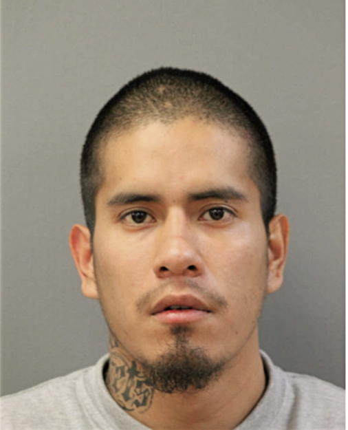 DAFNIZ MANCILLA, Cook County, Illinois