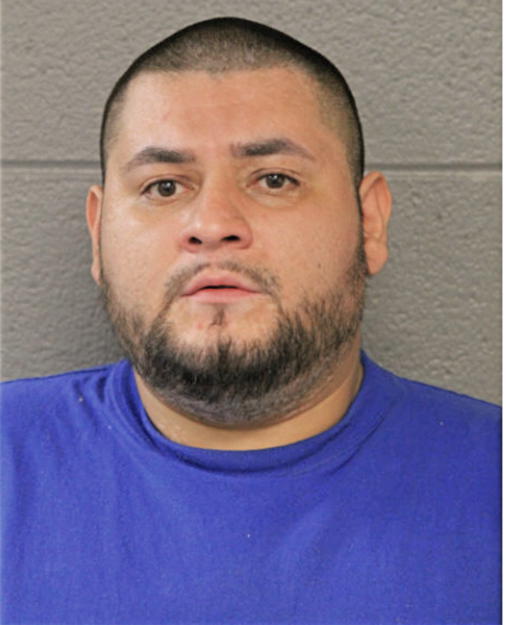 ALFREDO ORTEGA, Cook County, Illinois