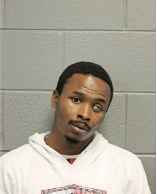 TIMOTHY J PITTMAN, Cook County, Illinois