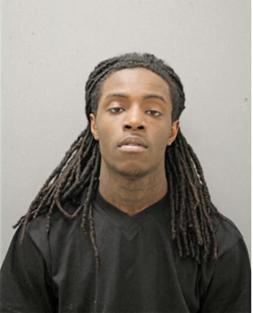 DUANE A RICE, Cook County, Illinois