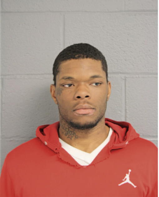 DANIEL J ROWE, Cook County, Illinois