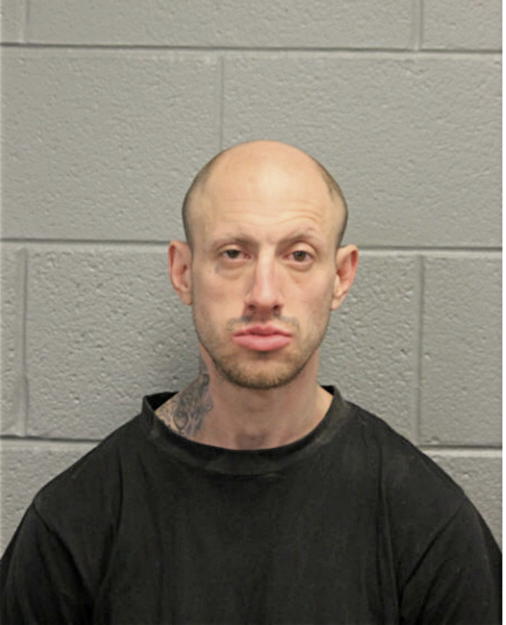 WILLIAM RYZNER, Cook County, Illinois
