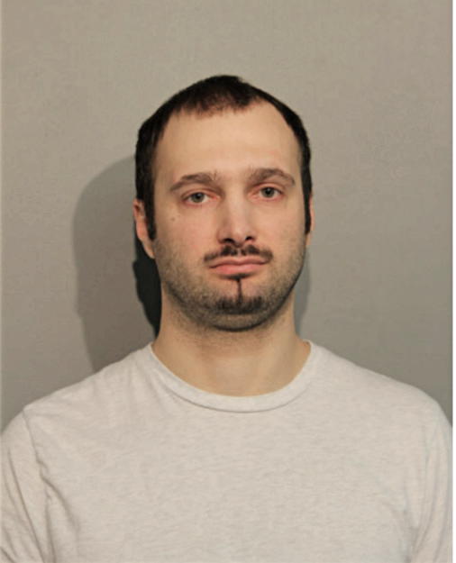 BORIS N VASILIC, Cook County, Illinois