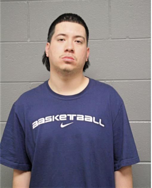 BENITO ALVA, Cook County, Illinois