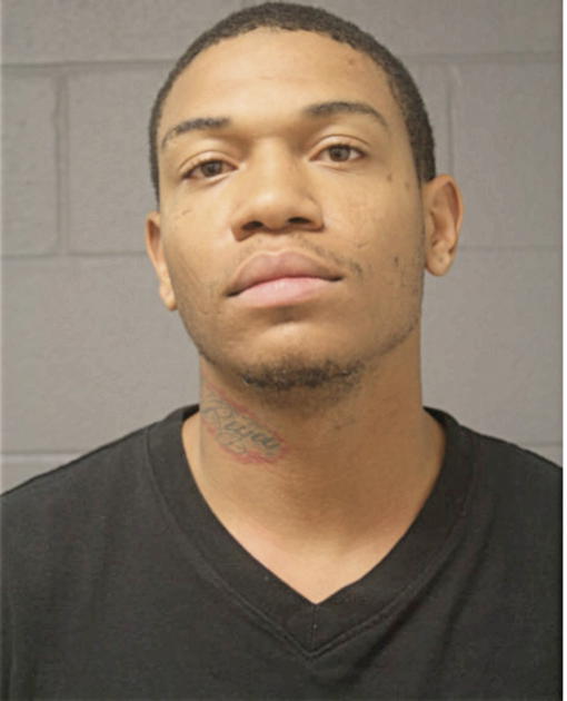 ALSCEE M BONNER, Cook County, Illinois