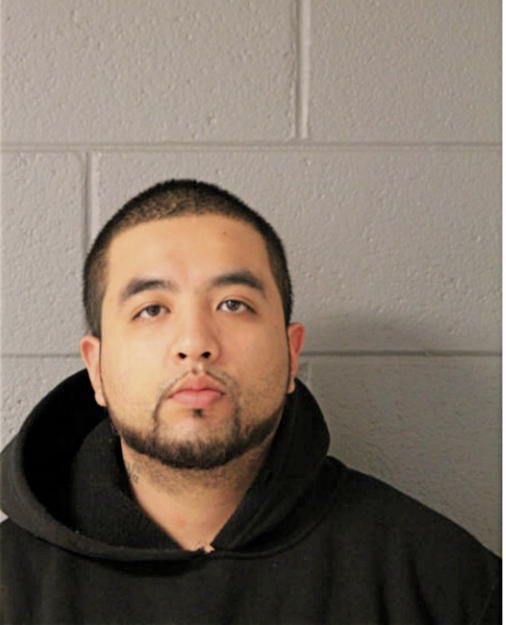 ROGELIO D CASTANEDA, Cook County, Illinois