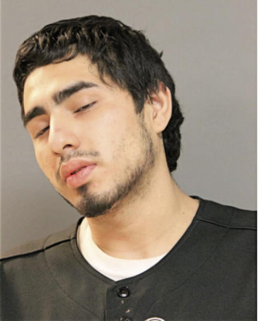 ANGEL D CASTILLO, Cook County, Illinois