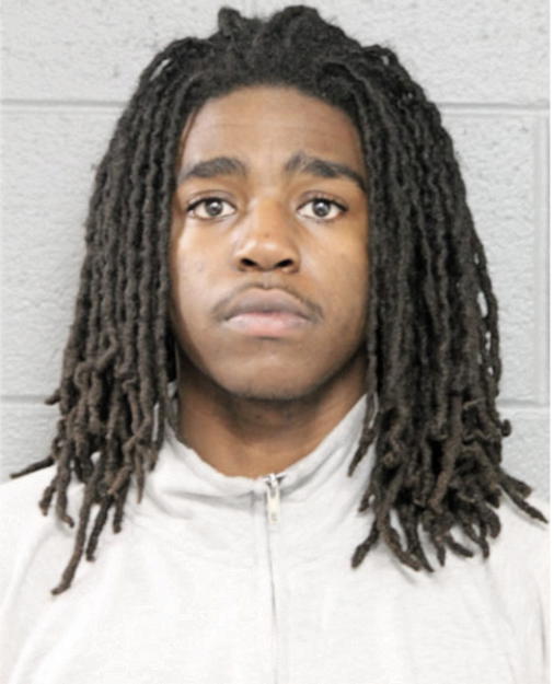 ROBERT D RHODES, Cook County, Illinois