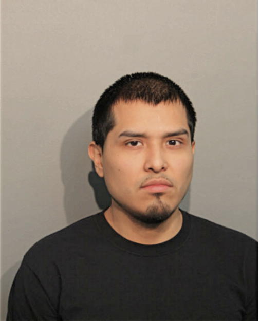 CARLOS A FERNANDEZ, Cook County, Illinois