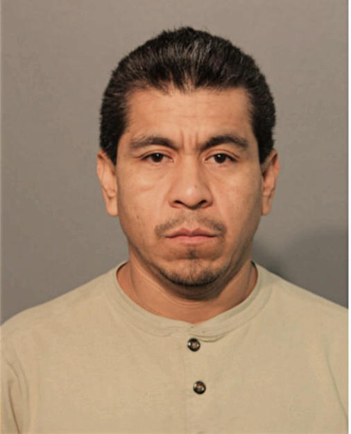 JOSE F GAMA, Cook County, Illinois