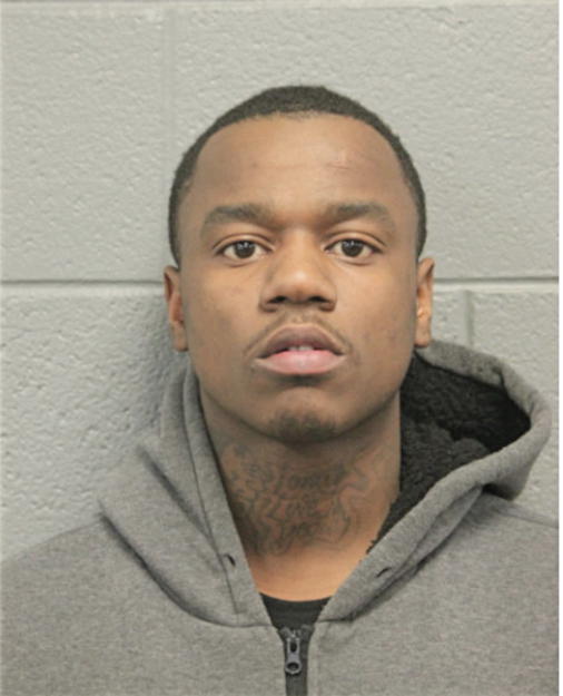 DEVIN T GARRETT, Cook County, Illinois