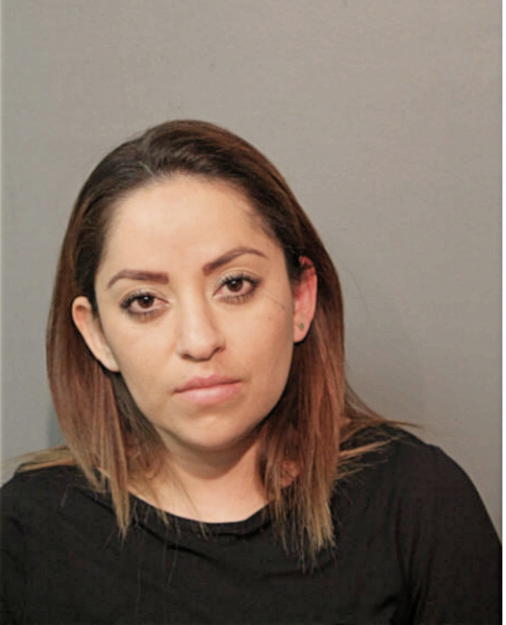 ALEJANDRA SERRANO ISARRARAZ, Cook County, Illinois