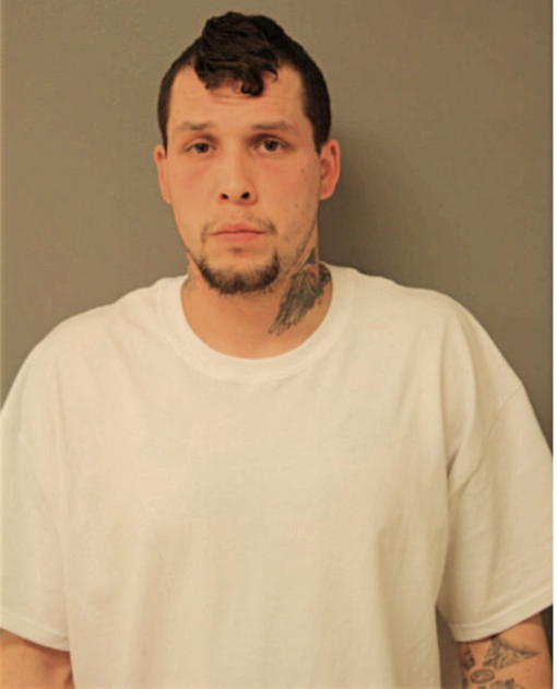 DAVID JOHNSON, Cook County, Illinois