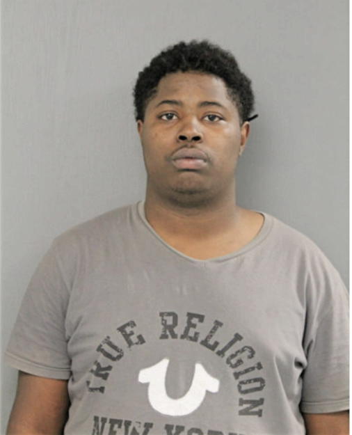 ETHAN JOHNSON, Cook County, Illinois