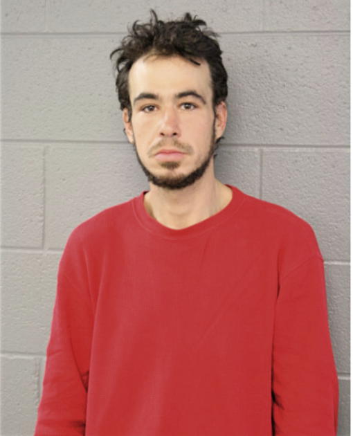 DAVID L RODRIGUEZ, Cook County, Illinois