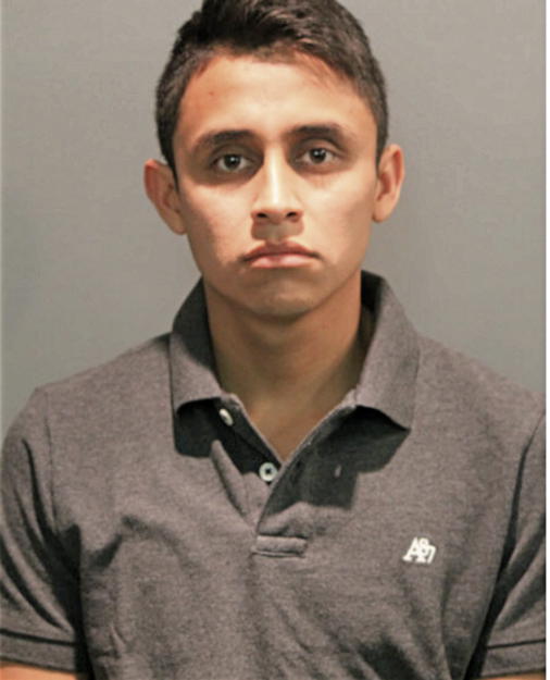 MARTIN R MARTINEZ, Cook County, Illinois