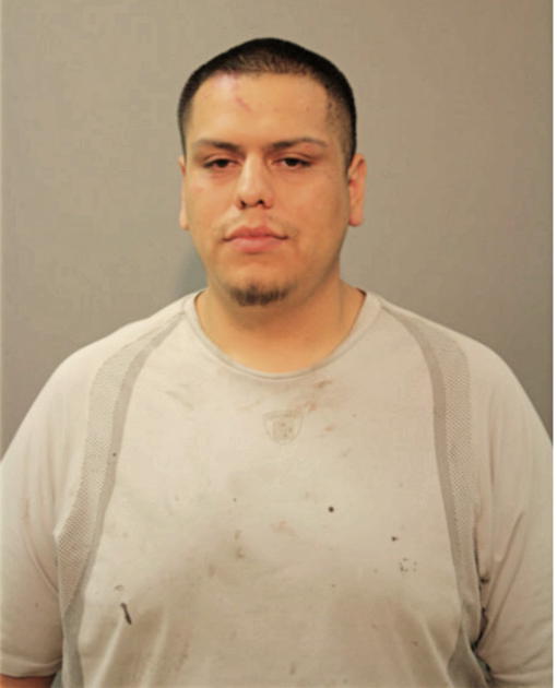 DANIEL G MONTES DE OCA, Cook County, Illinois