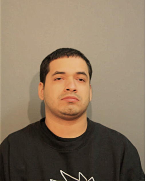 DENNIS J ORTEGA, Cook County, Illinois