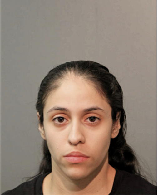 SALINAS C QUILES, Cook County, Illinois