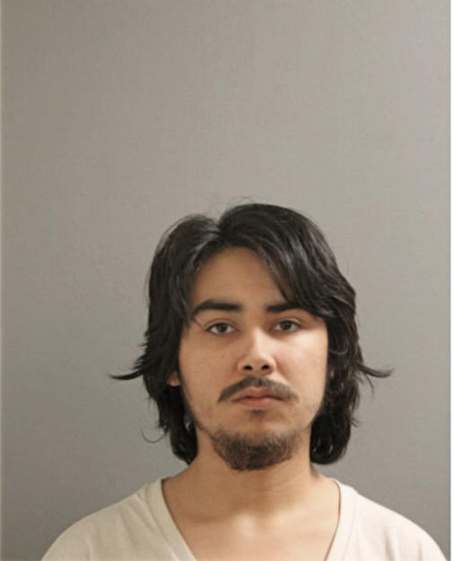 ALEXANDER J RUIZ, Cook County, Illinois