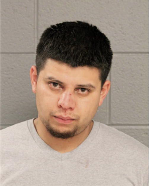 FREDDY M SANCHEZ, Cook County, Illinois