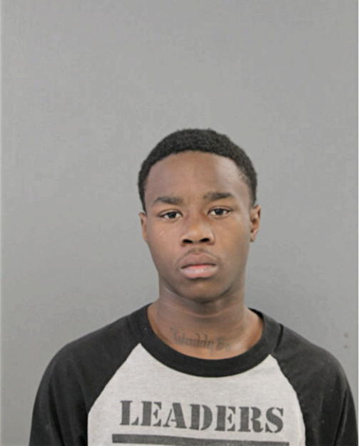 TYREK STEVENS, Cook County, Illinois