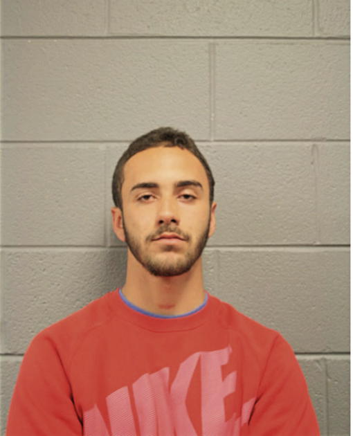 JOHN F STEWART, Cook County, Illinois