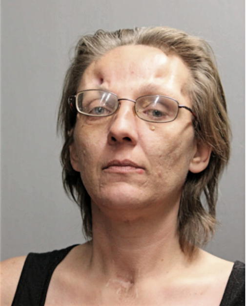 SARAH D TANEV, Cook County, Illinois
