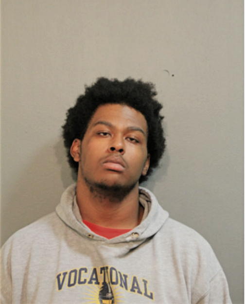 DMANNI D YOUNG, Cook County, Illinois