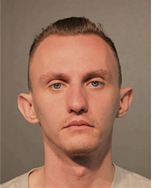 MICHAEL ZDE, Cook County, Illinois