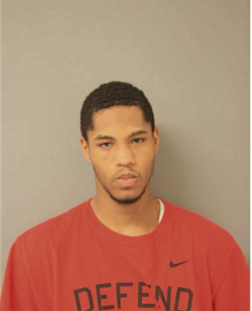 CHRISTOPHER SEAN BRYAN, Cook County, Illinois