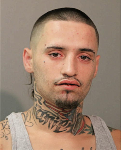 NICKOLAS COLON, Cook County, Illinois