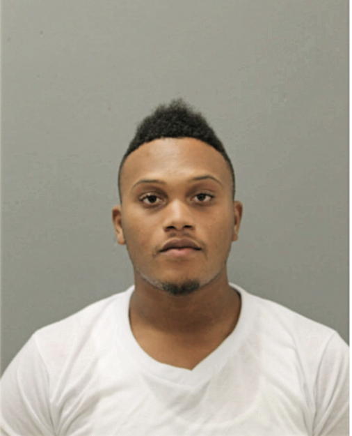 ANDRE D DONNER, Cook County, Illinois