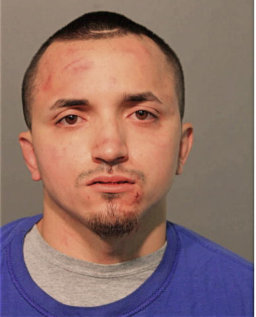 JULIAN FRAUSTO, Cook County, Illinois
