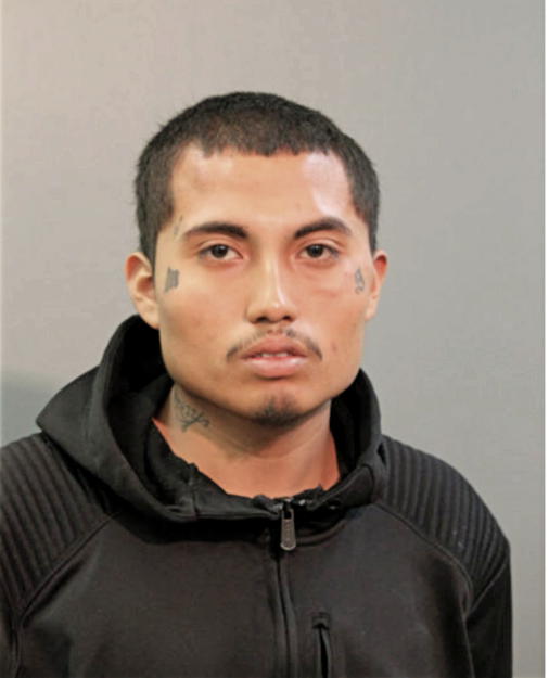 DAVID GONZALEZ, Cook County, Illinois