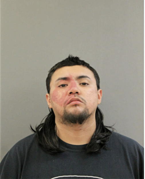 JAVIER GONZALEZ, Cook County, Illinois