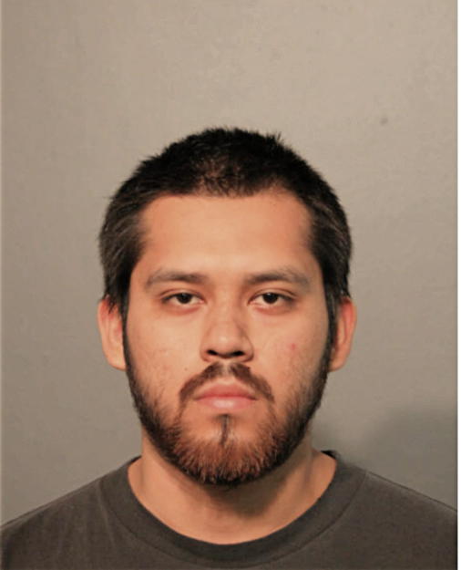 ALEJANDRO GUZMAN, Cook County, Illinois