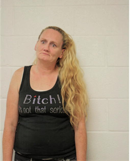 KAREN S JAMESON, Cook County, Illinois