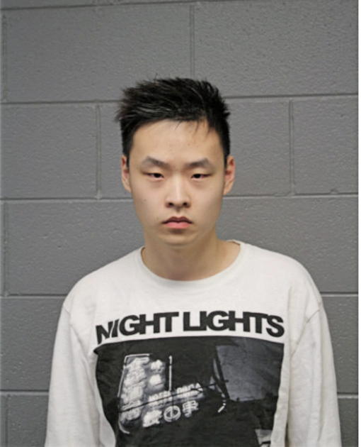 HAOQING MA, Cook County, Illinois