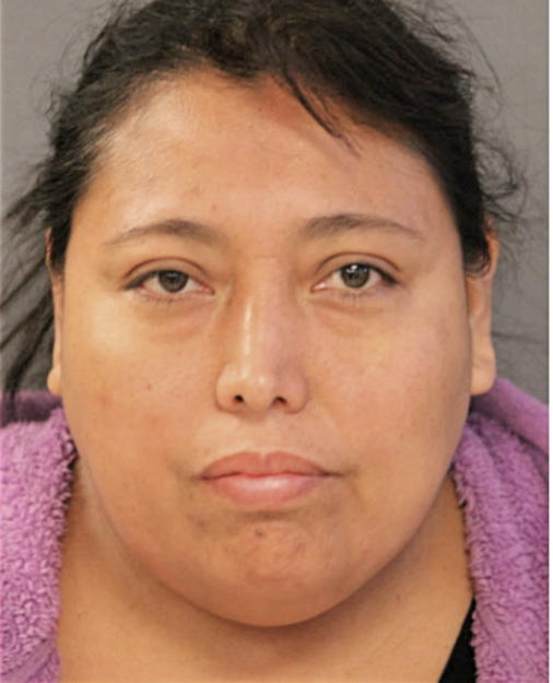 CAROLINA MENDIOLA, Cook County, Illinois