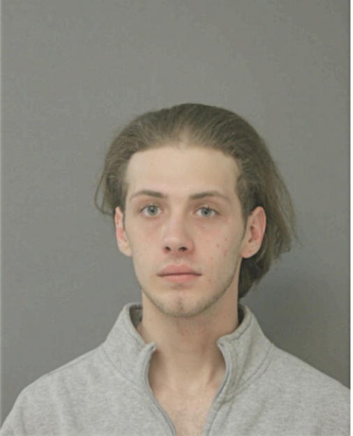 MICHAEL A RIPKE, Cook County, Illinois
