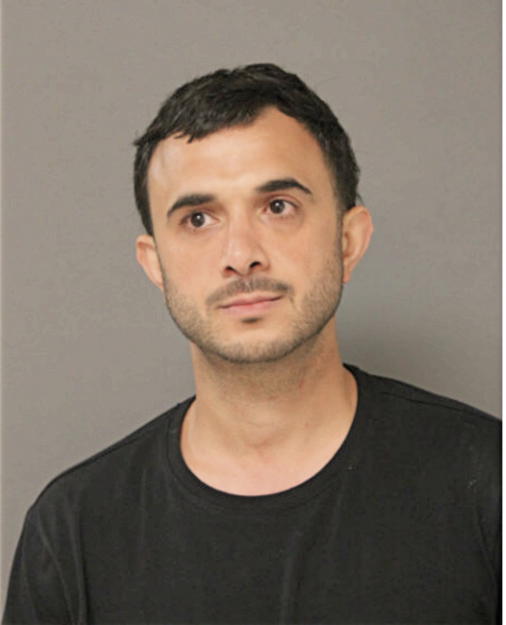 TIMUCHIN T SENGER, Cook County, Illinois