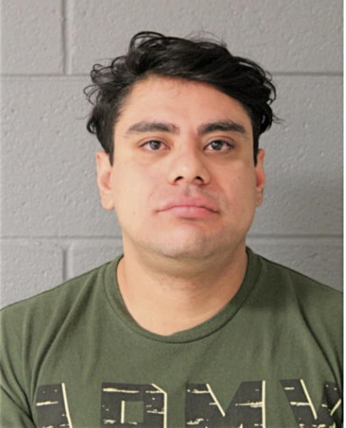 HUGO TENORIO, Cook County, Illinois