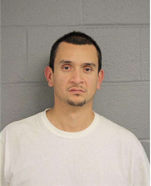 JESUS M VALDEZ, Cook County, Illinois
