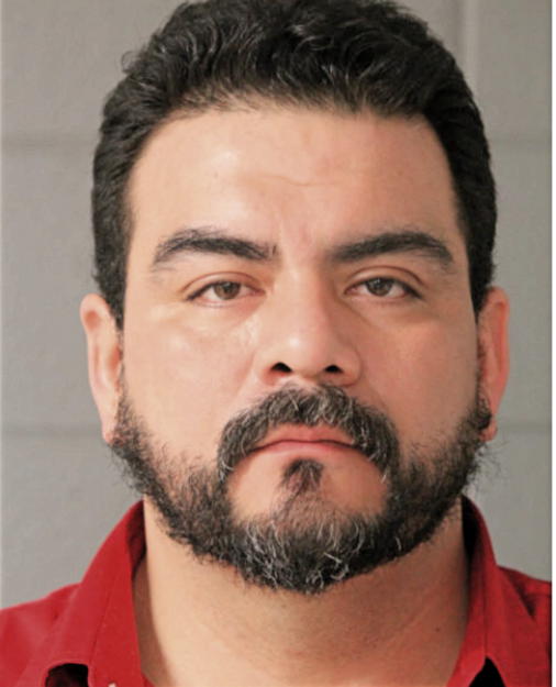 JOSE H VERGARA, Cook County, Illinois