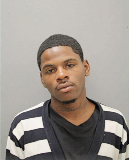 DION YOUNG, Cook County, Illinois
