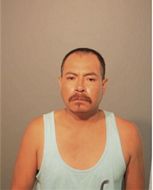 SERAFIN ZAMORA, Cook County, Illinois