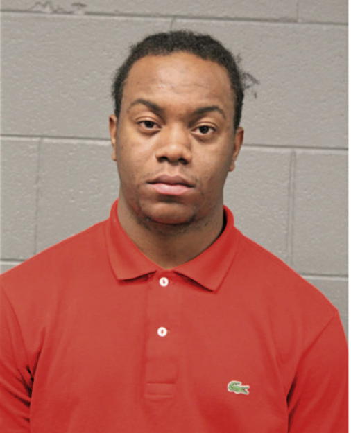 CHRISTIAN D AUSTIN, Cook County, Illinois