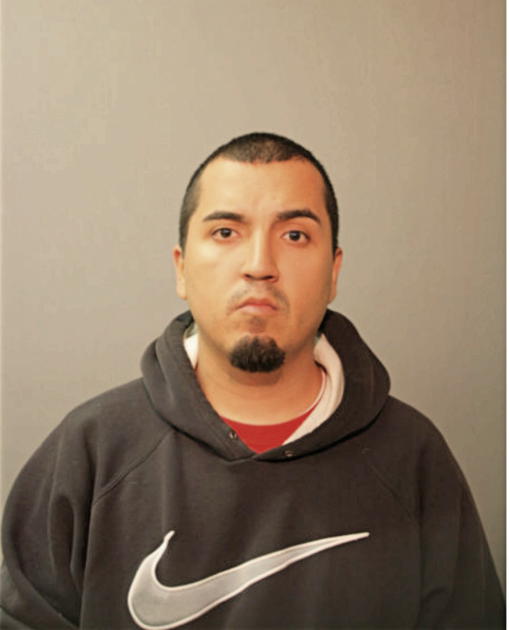 GONZALO AVILA, Cook County, Illinois