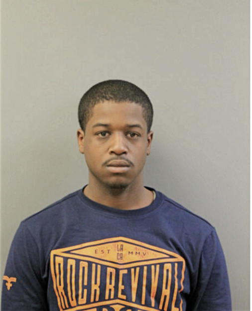 DONALD L BROWN, Cook County, Illinois